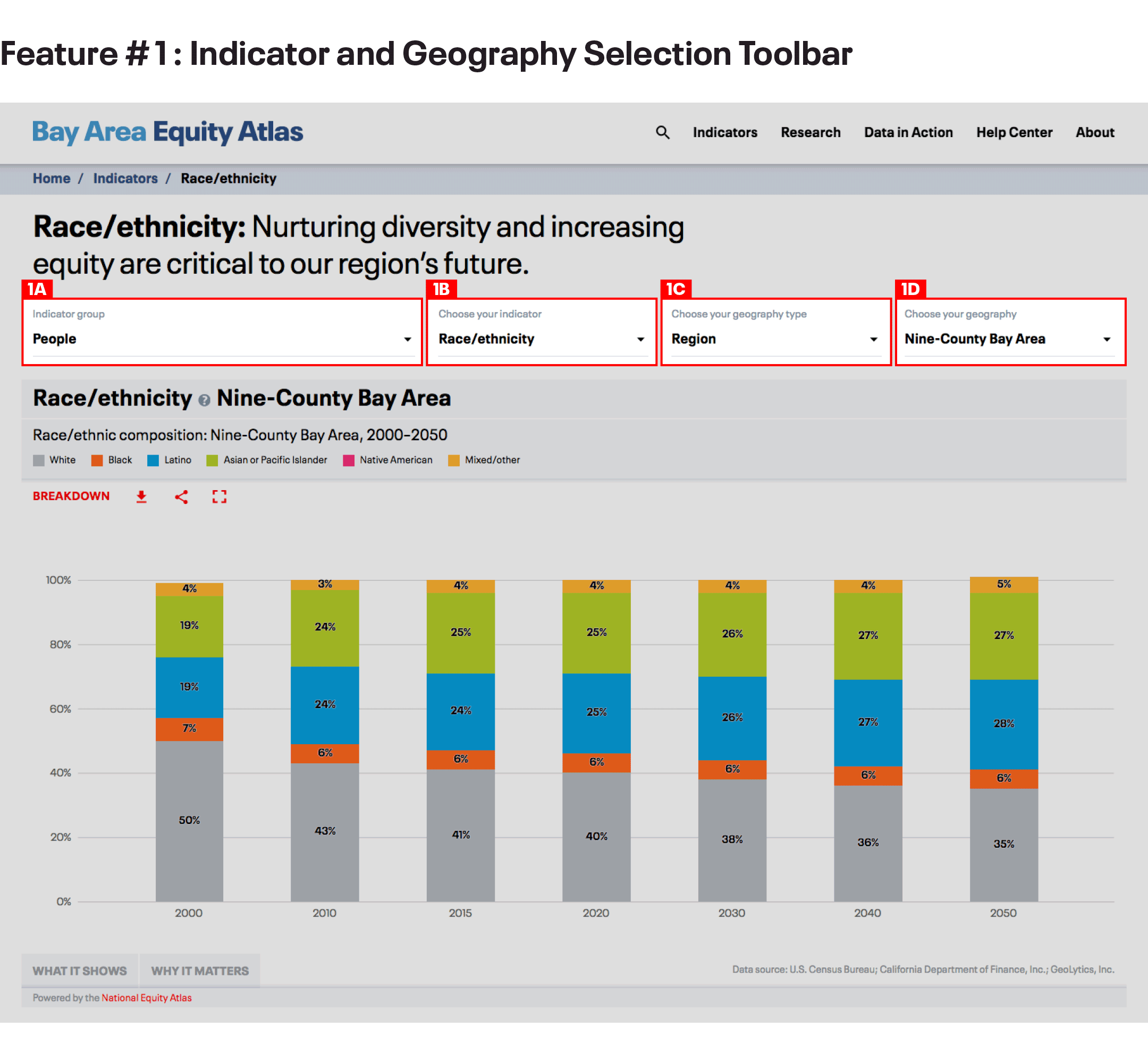 Race/Ethnic Indicator